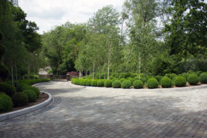 Laura Anstiss - Kent Garden Designer - Landscape Image 5