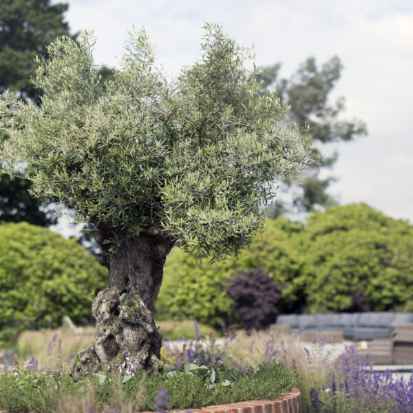 Why Garden Design is Important